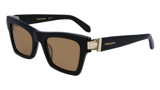 FERRAGAMO Sunglasses SF2013S 11 52