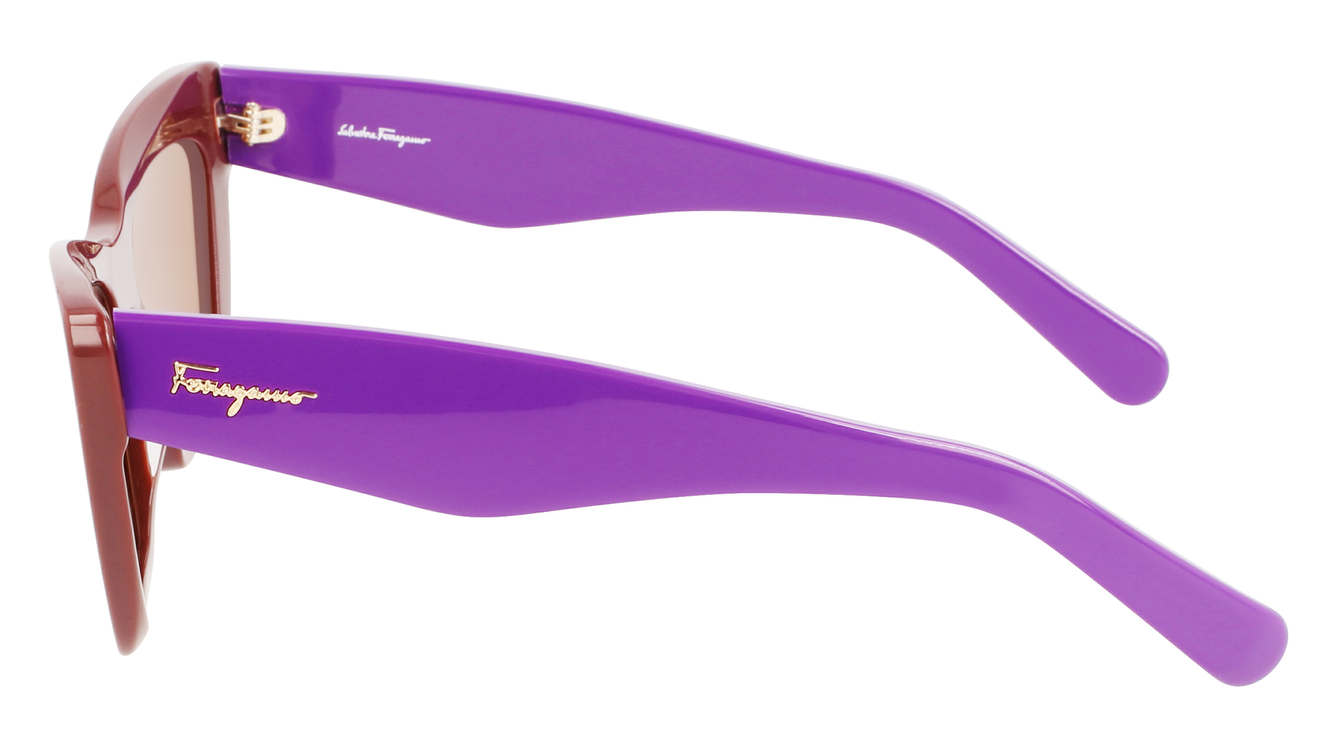 FERRAGAMO Sunglasses SF929S 209 55