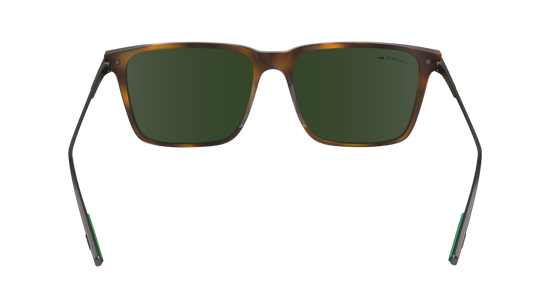 LACOSTE Sunglasses L6017S 214 55