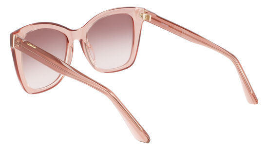 CALVIN KLEIN Sunglasses CK22530S 601 53