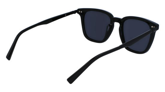 FERRAGAMO Sunglasses SF1100S 1 52