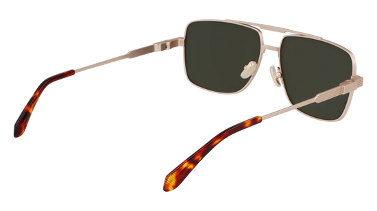 FERRAGAMO Sunglasses SF318S 710 60