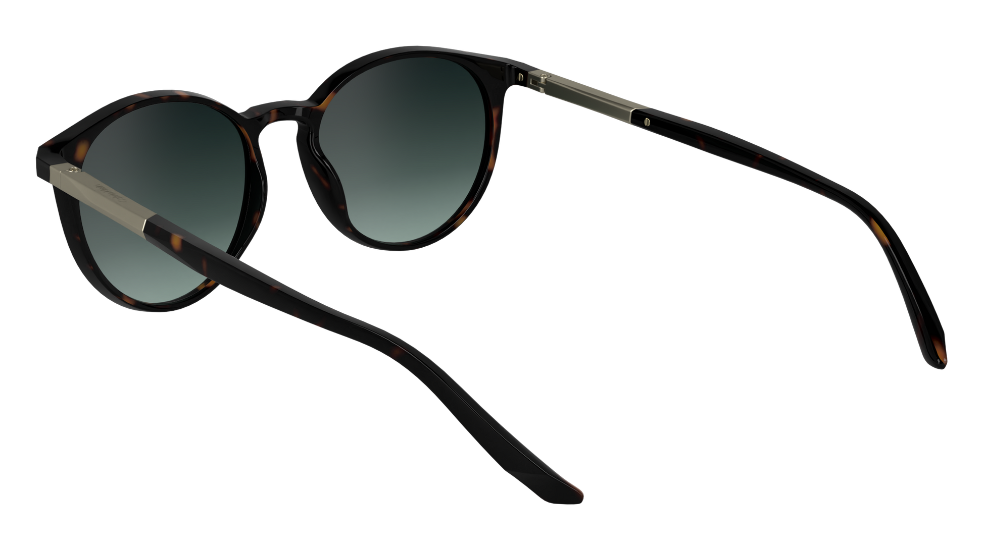 CALVIN KLEIN Sunglasses CK24539S 235 53