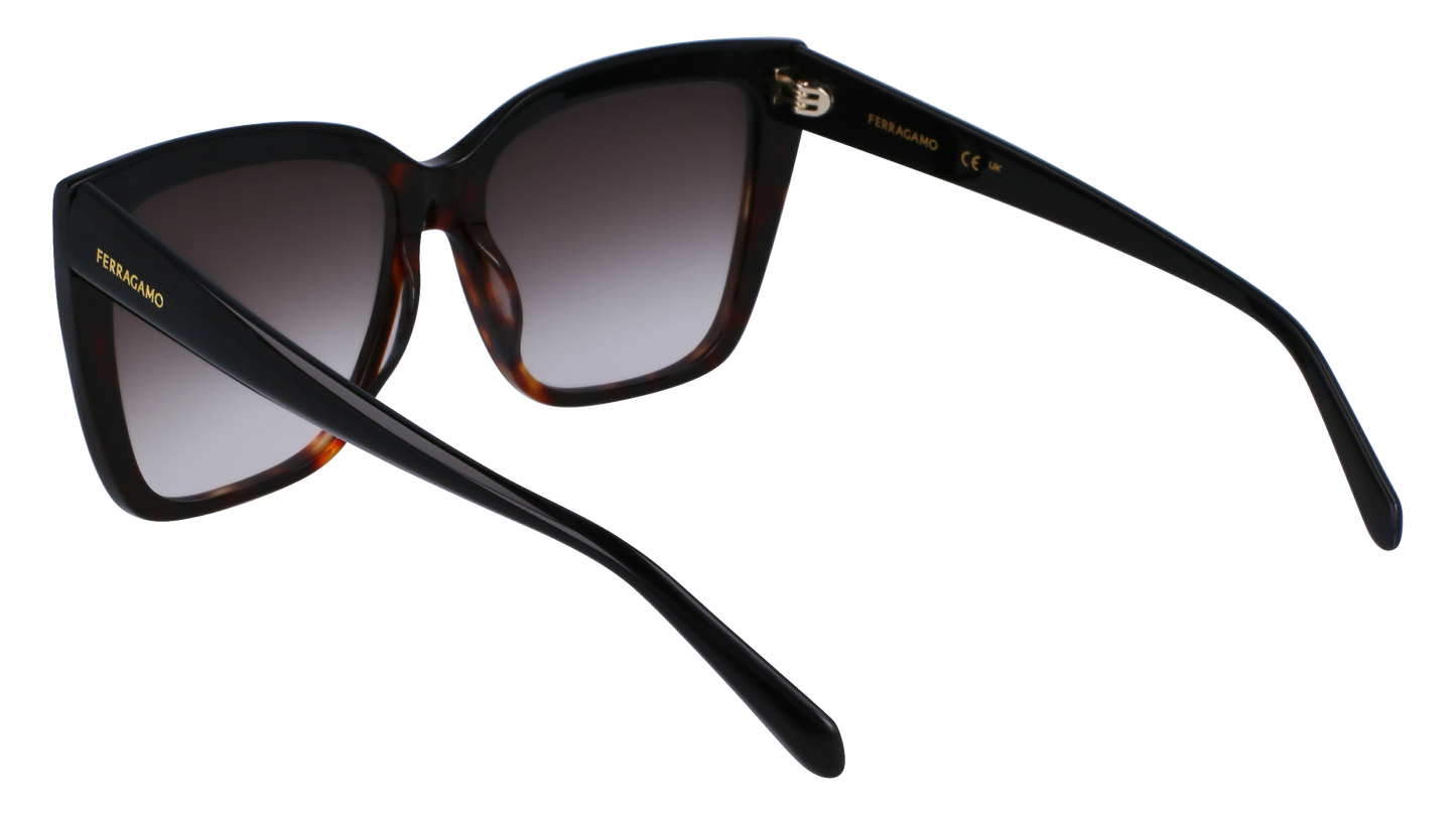 FERRAGAMO Sunglasses SF1102S 6 58