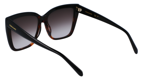 FERRAGAMO Sunglasses SF1102S 6 58