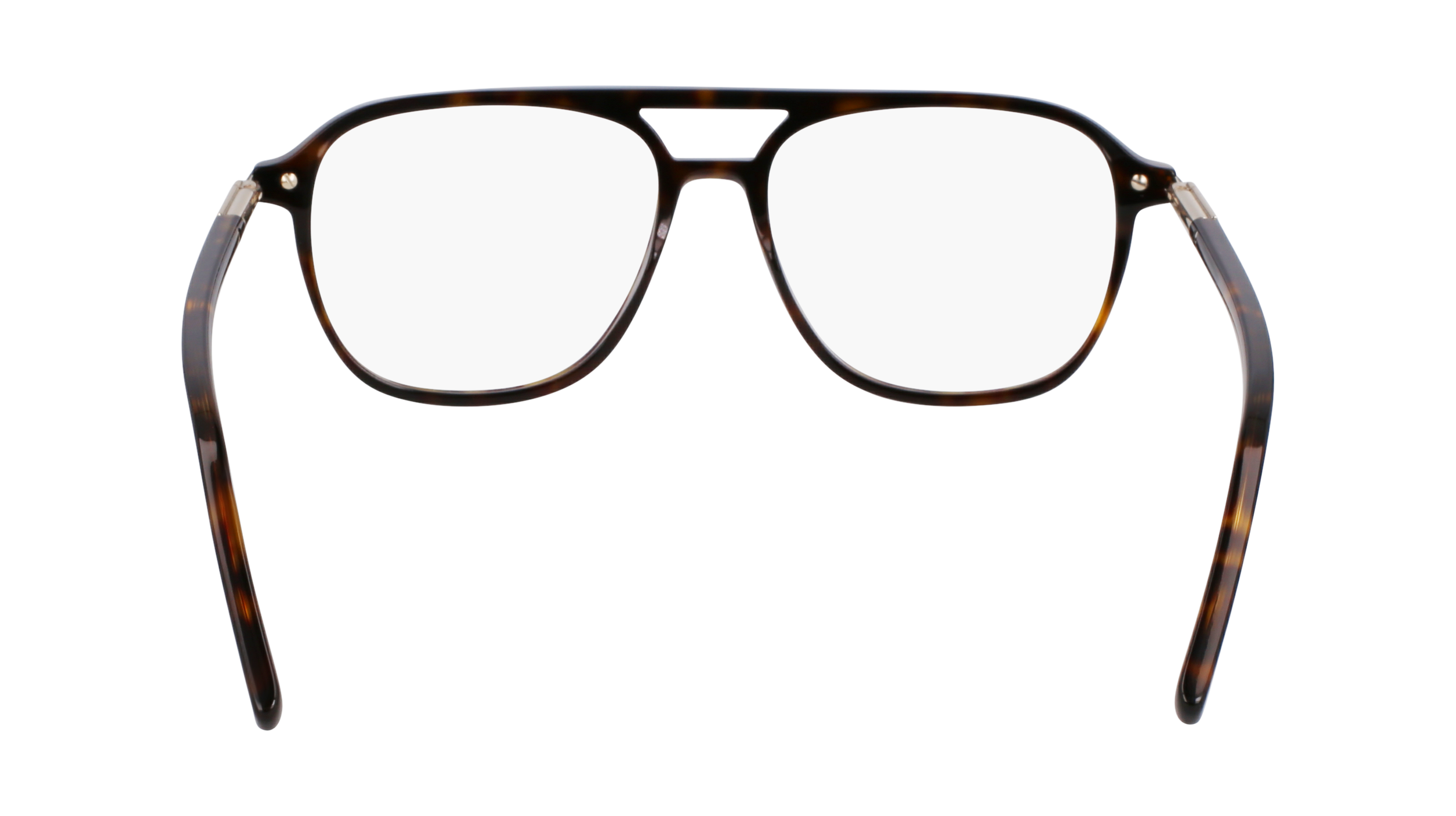 FERRAGAMO Eyeglasses SF3006 242 56