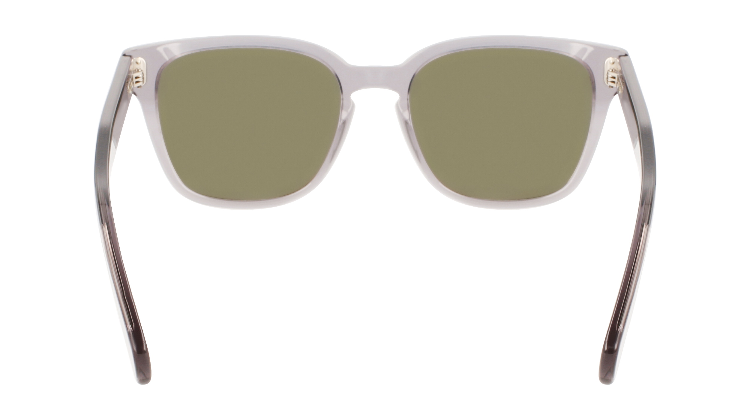 FERRAGAMO Sunglasses SF1040S 20 55