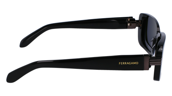 FERRAGAMO Sunglasses SF1105S 1 52