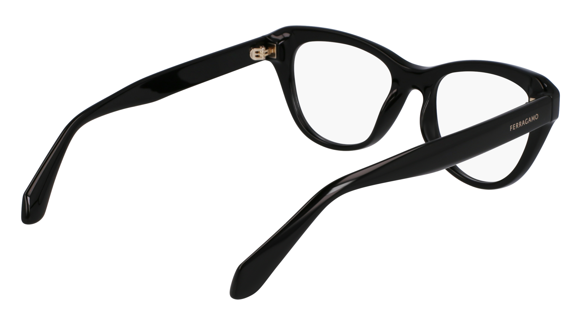 FERRAGAMO Eyeglasses SF2989E 1 51