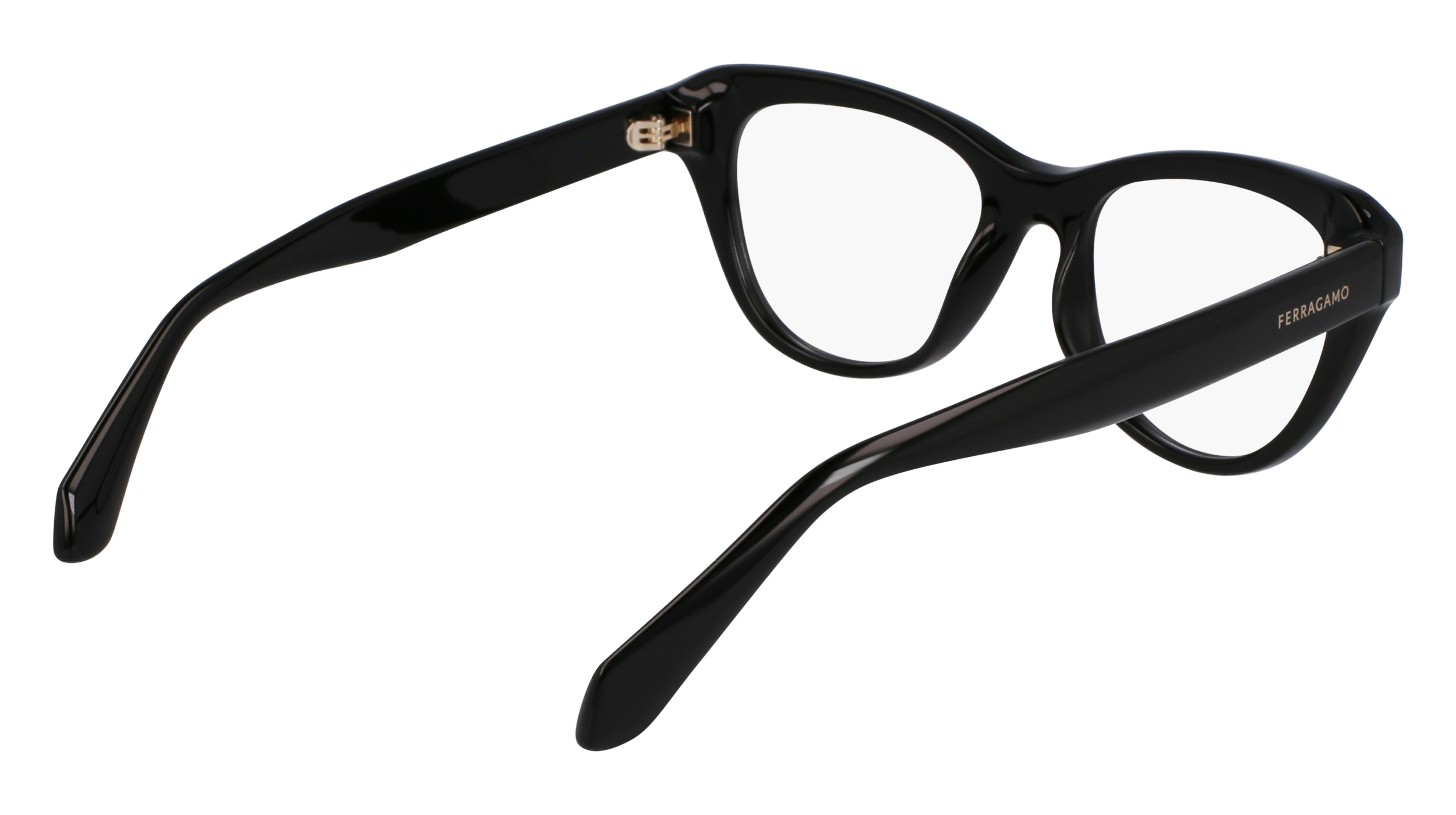 FERRAGAMO Eyeglasses SF2989E 1 51