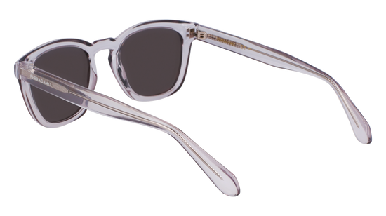 FERRAGAMO Sunglasses SF2040SE 20 50