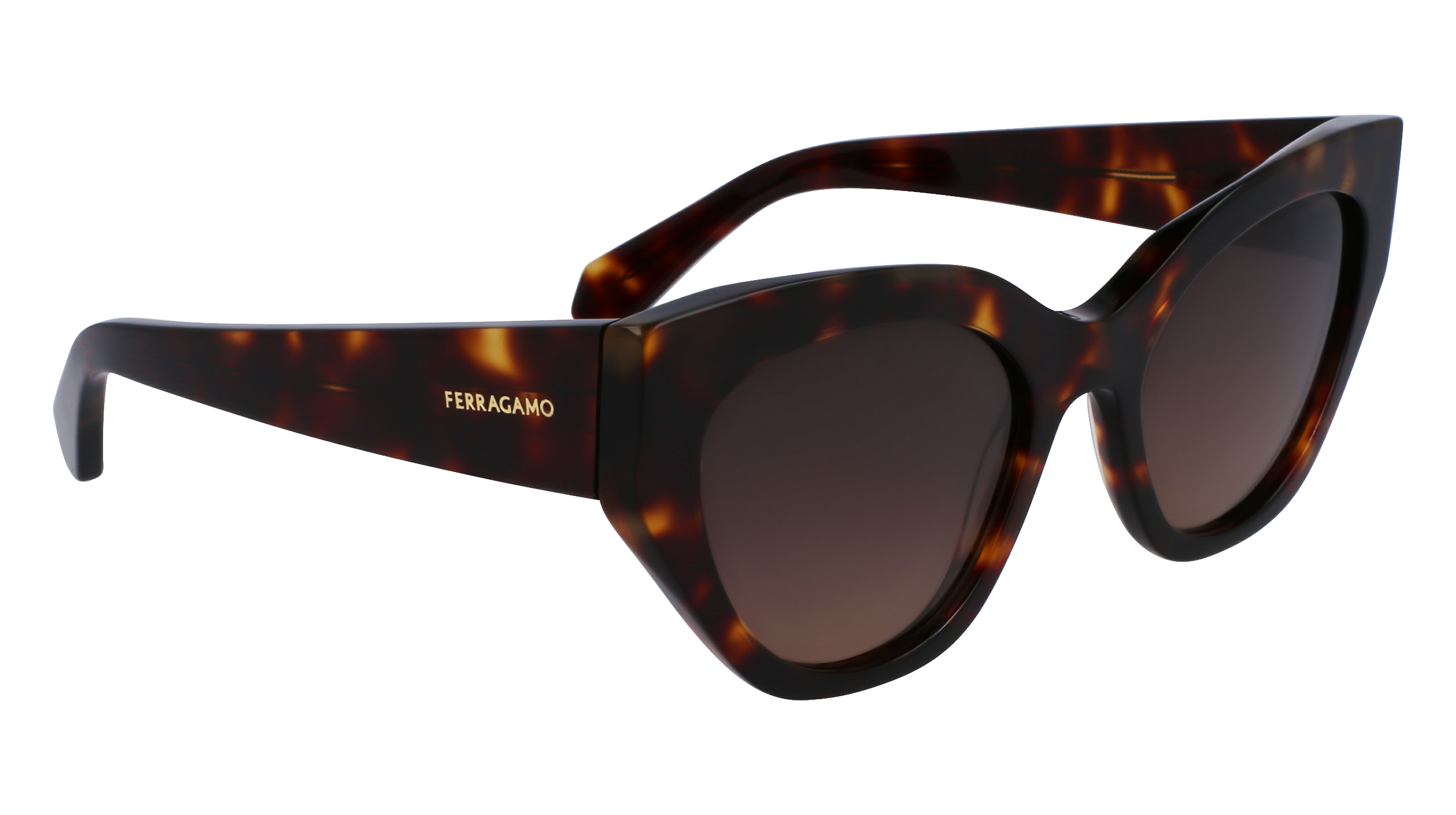 FERRAGAMO Sunglasses SF1107S 242 55