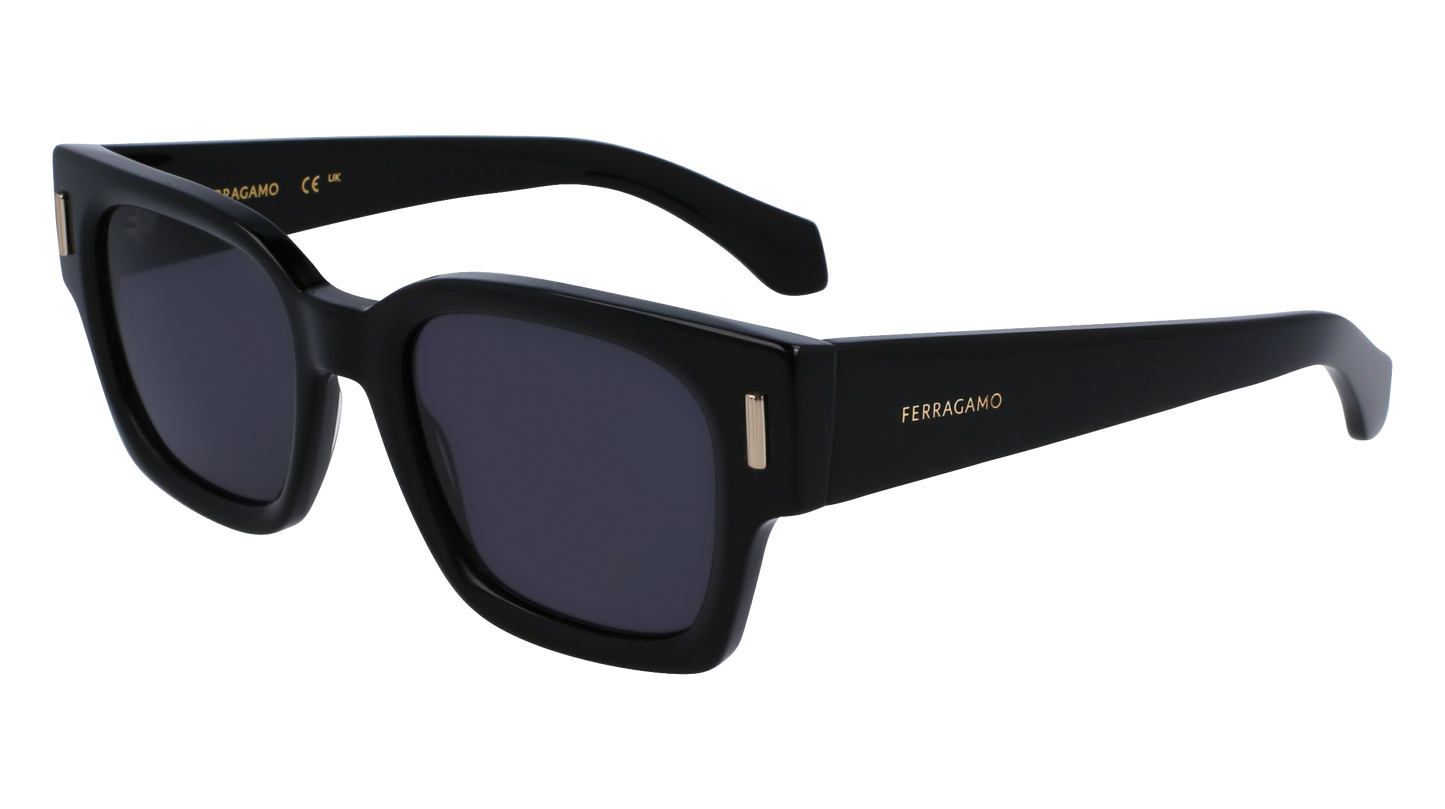 FERRAGAMO Sunglasses SF2010S 1 52