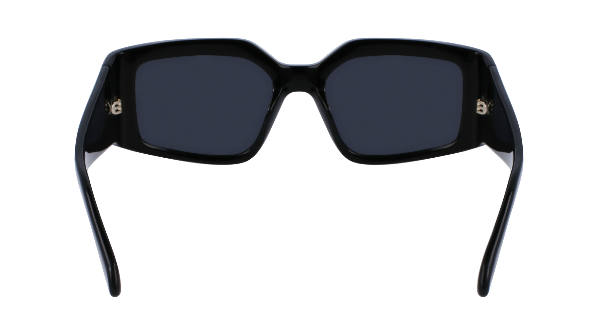 FERRAGAMO Sunglasses SF1101S 1 54