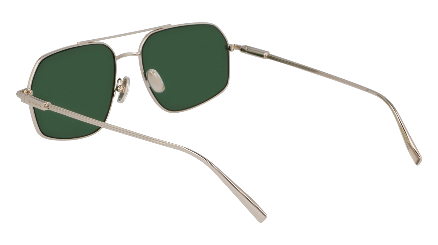 FERRAGAMO Sunglasses SF313S 746 58