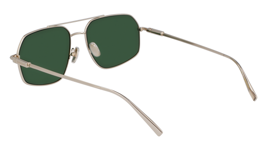 FERRAGAMO Sunglasses SF313S 746 58