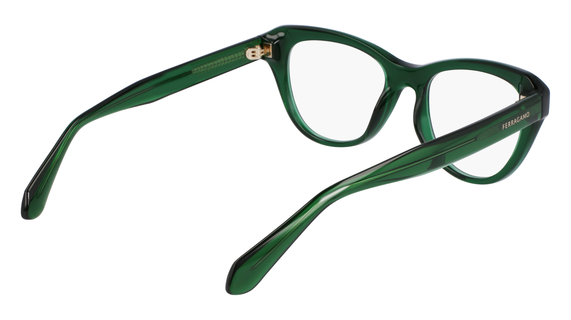 FERRAGAMO Eyeglasses SF2989E 317 51