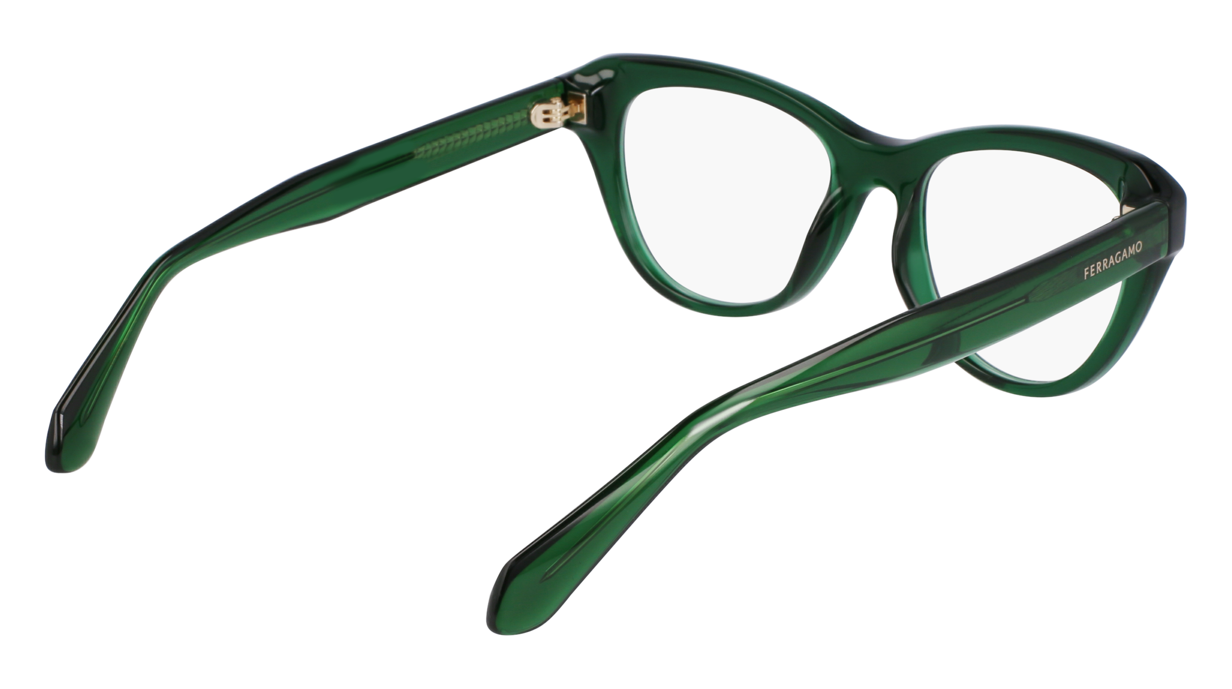 FERRAGAMO Eyeglasses SF2989E 317 51