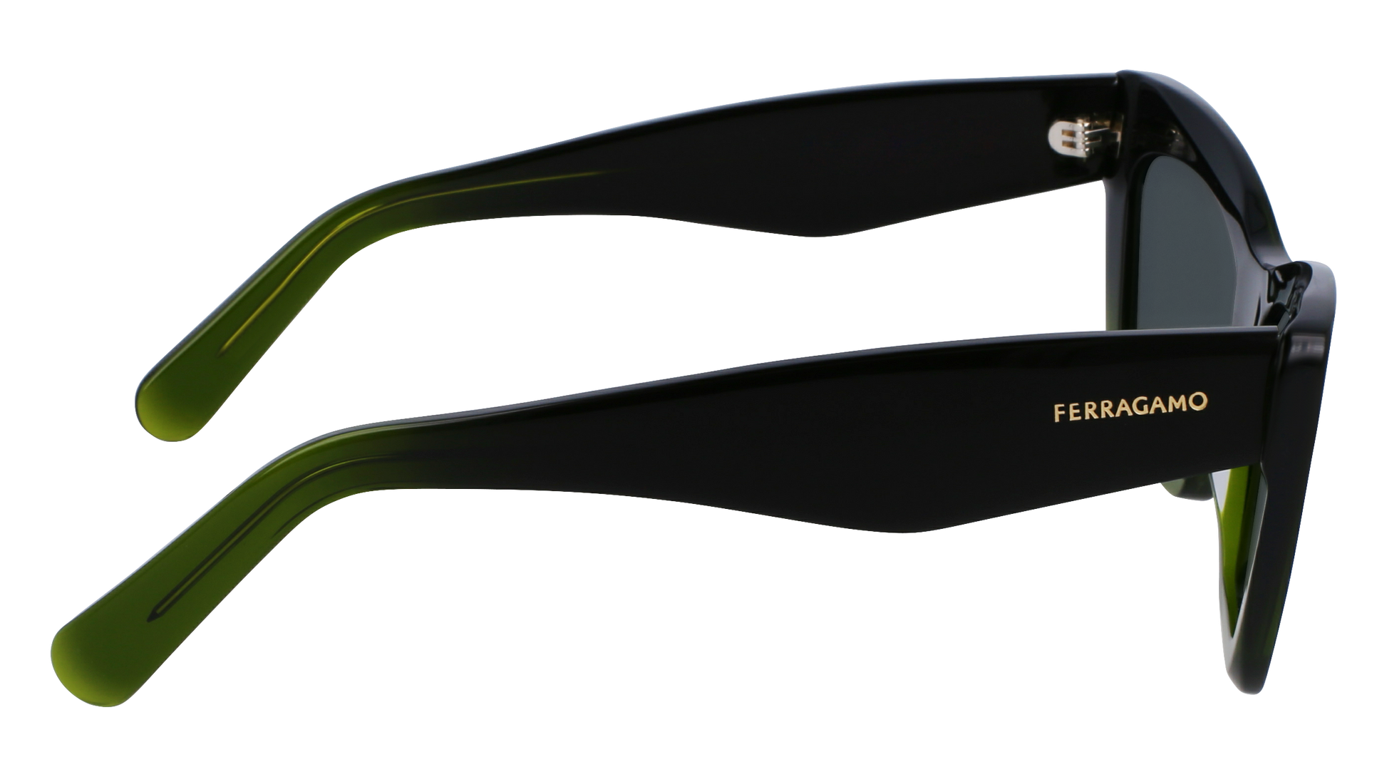 FERRAGAMO Sunglasses SF929SN 316 55