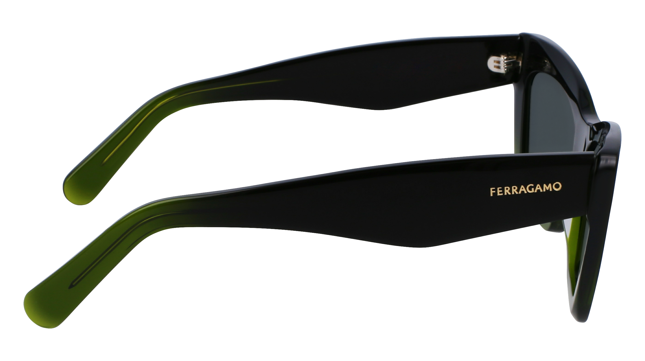 FERRAGAMO Sunglasses SF929SN 316 55