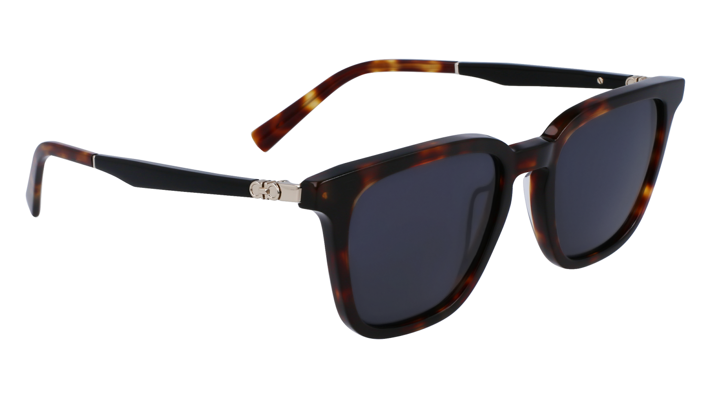 FERRAGAMO Sunglasses SF1100S 242 52