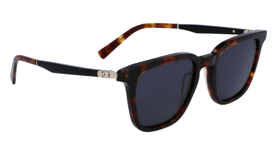 FERRAGAMO Sunglasses SF1100S 242 52