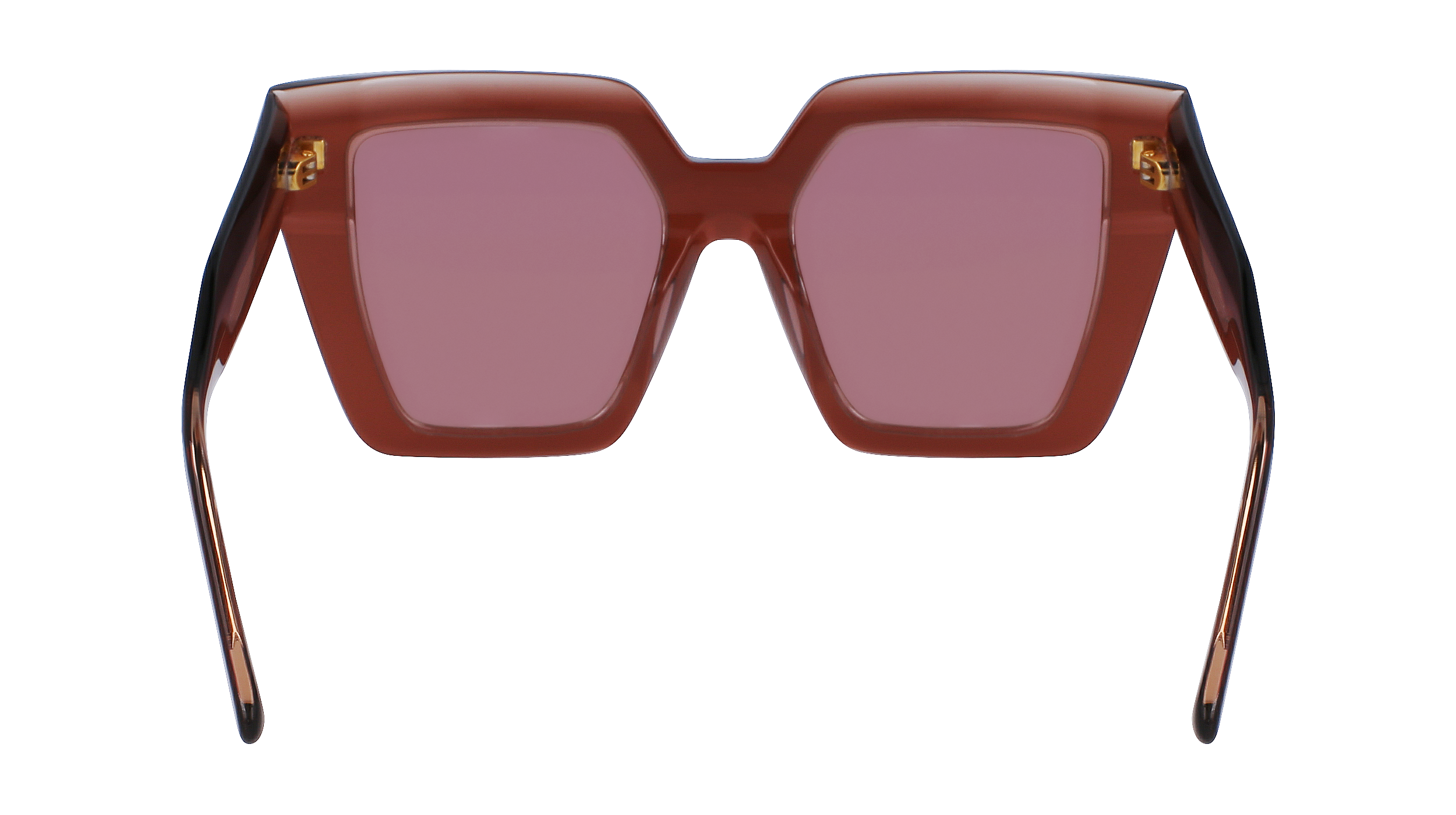 CALVIN KLEIN Sunglasses CK23502S 601 52