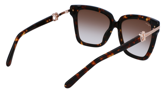 FERRAGAMO Sunglasses SF1085S 219 57