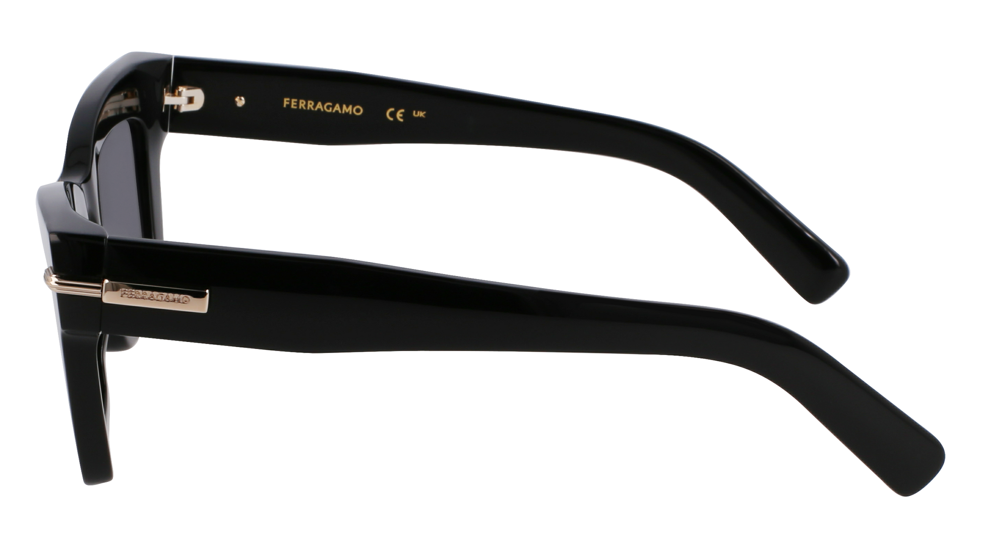 FERRAGAMO Sunglasses SF2031S 1 52