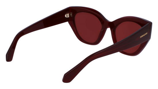 FERRAGAMO Sunglasses SF1107S 653 55