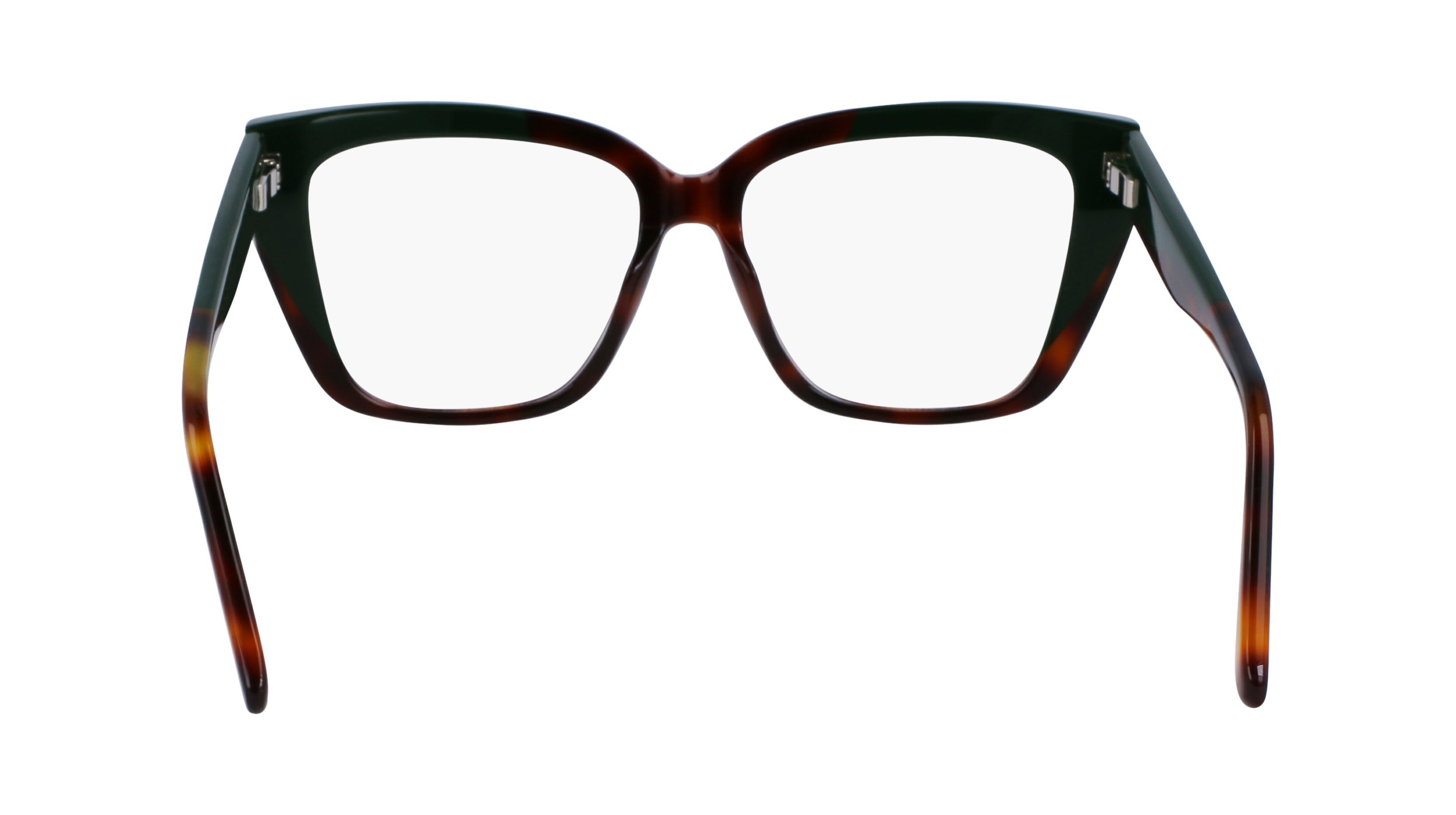 FERRAGAMO Eyeglasses SF2939N 220 54