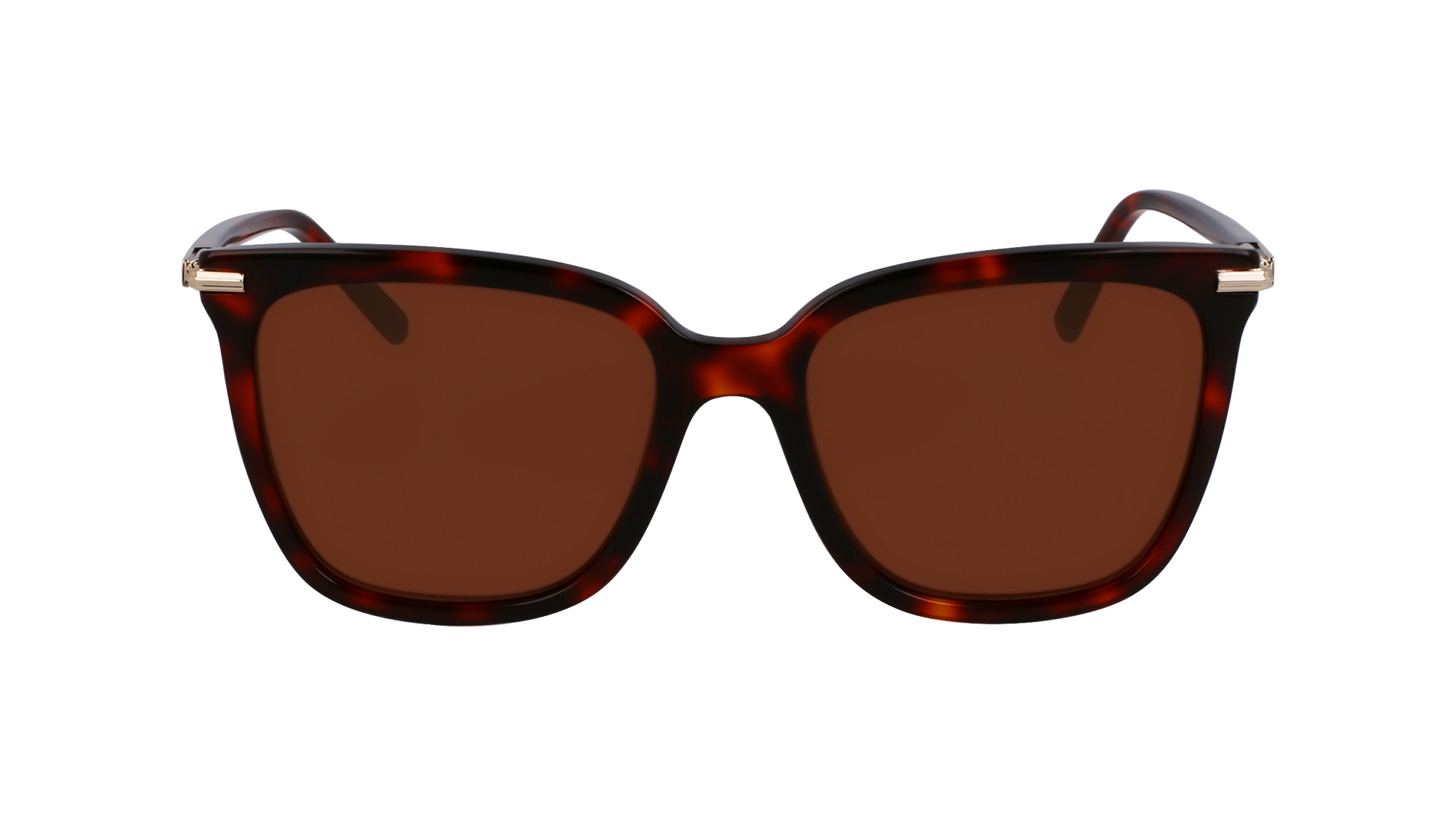 FERRAGAMO Sunglasses SF2037S 640 56