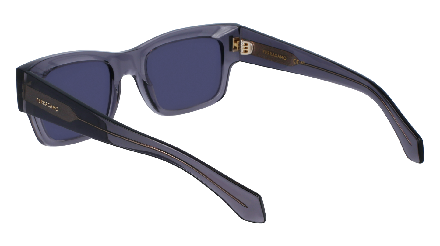 FERRAGAMO Sunglasses SF2011S 20 53