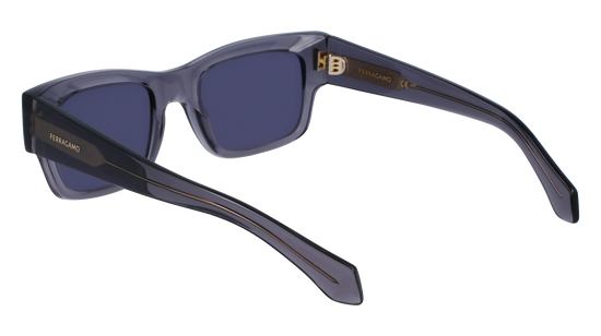 FERRAGAMO Sunglasses SF2011S 20 53