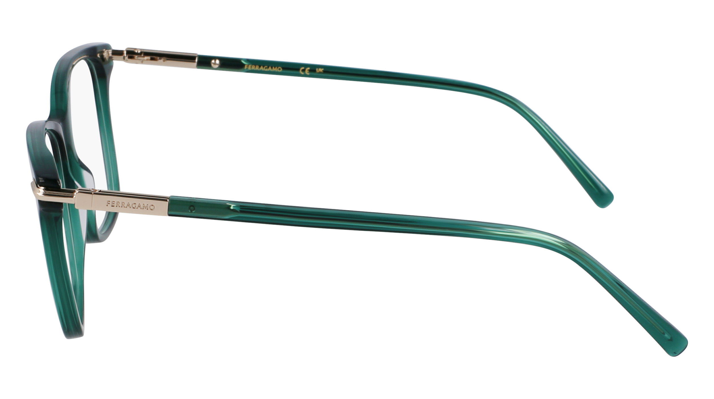 FERRAGAMO Eyeglasses SF3013 317 53