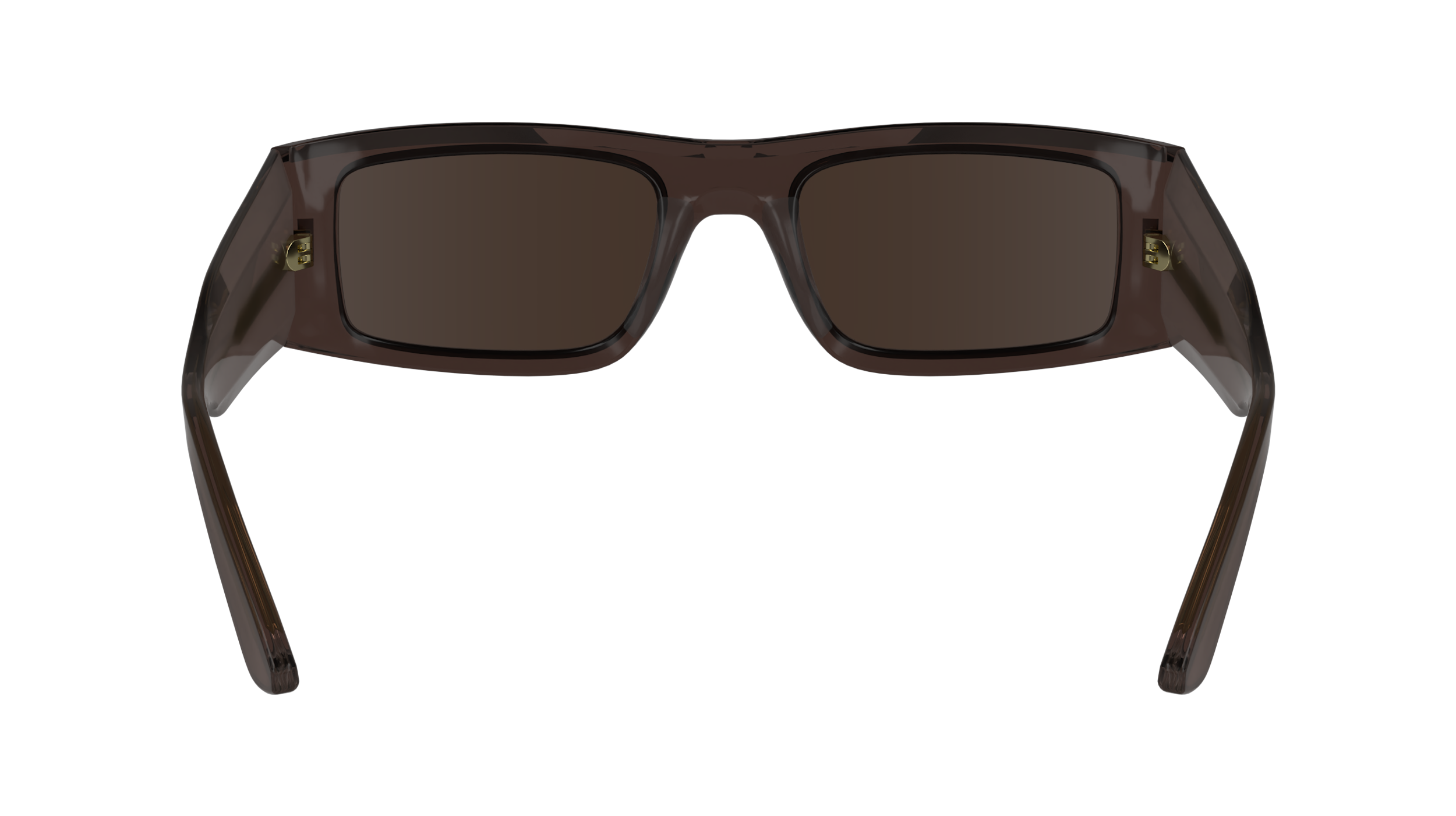 CALVIN KLEIN Sunglasses CK23537S 260 52