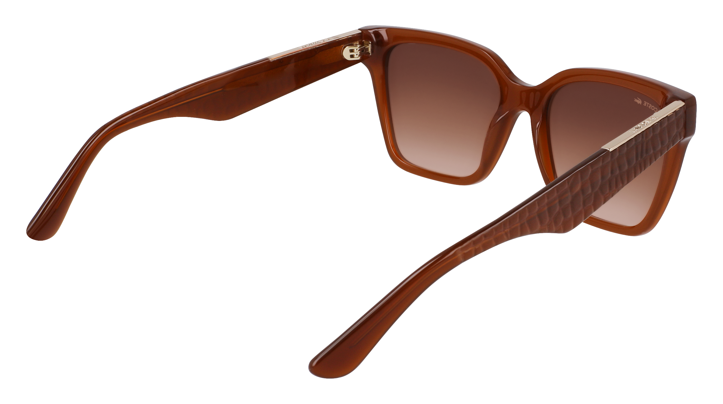 LACOSTE Sunglasses L6022S 210 54