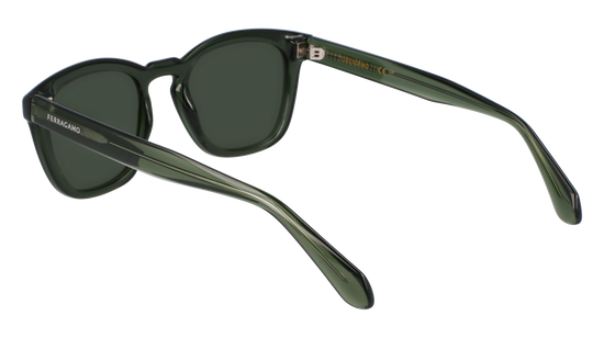 FERRAGAMO Sunglasses SF2040SE 320 50