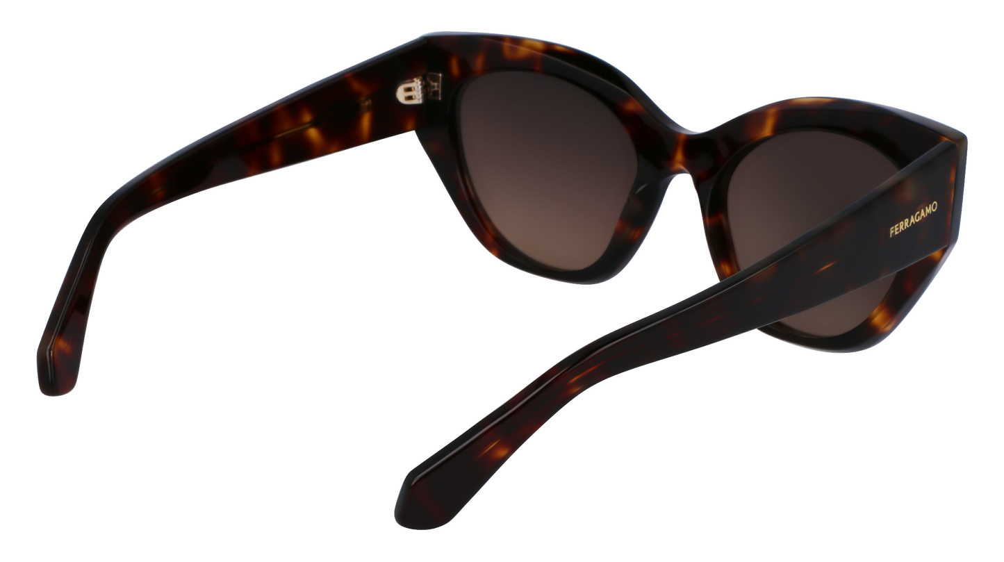 FERRAGAMO Sunglasses SF1107S 242 55