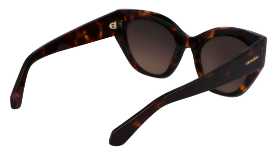 FERRAGAMO Sunglasses SF1107S 242 55