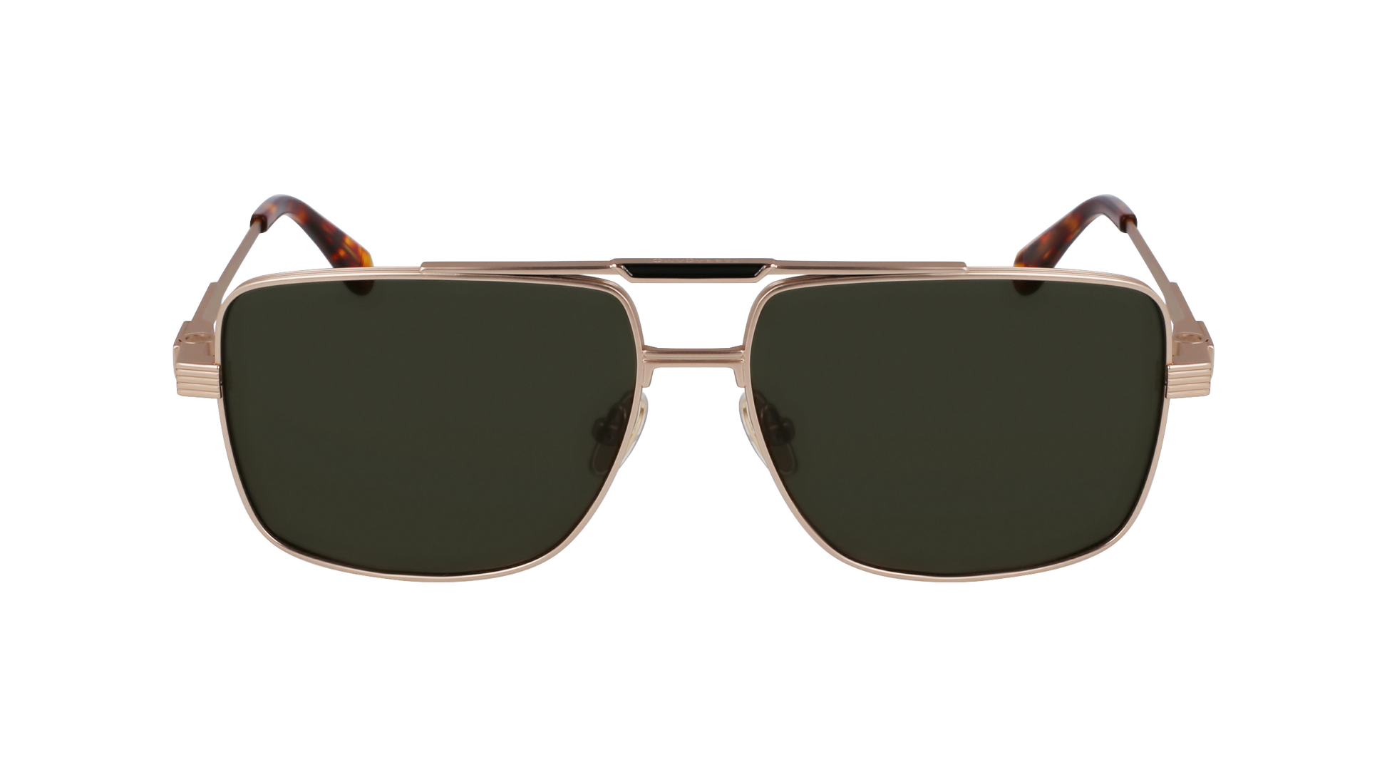 FERRAGAMO Sunglasses SF318S 710 60