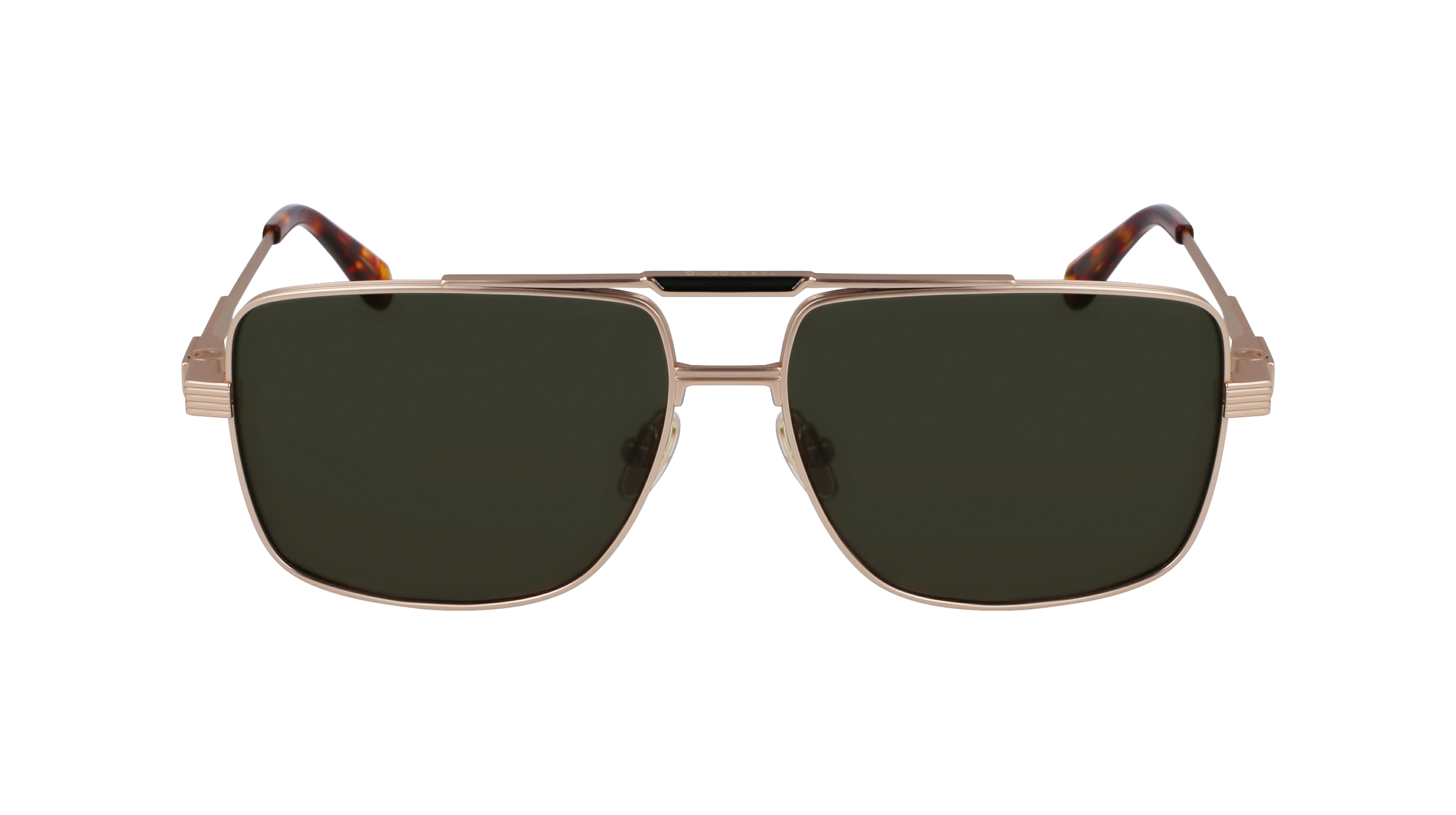 FERRAGAMO Sunglasses SF318S 710 60