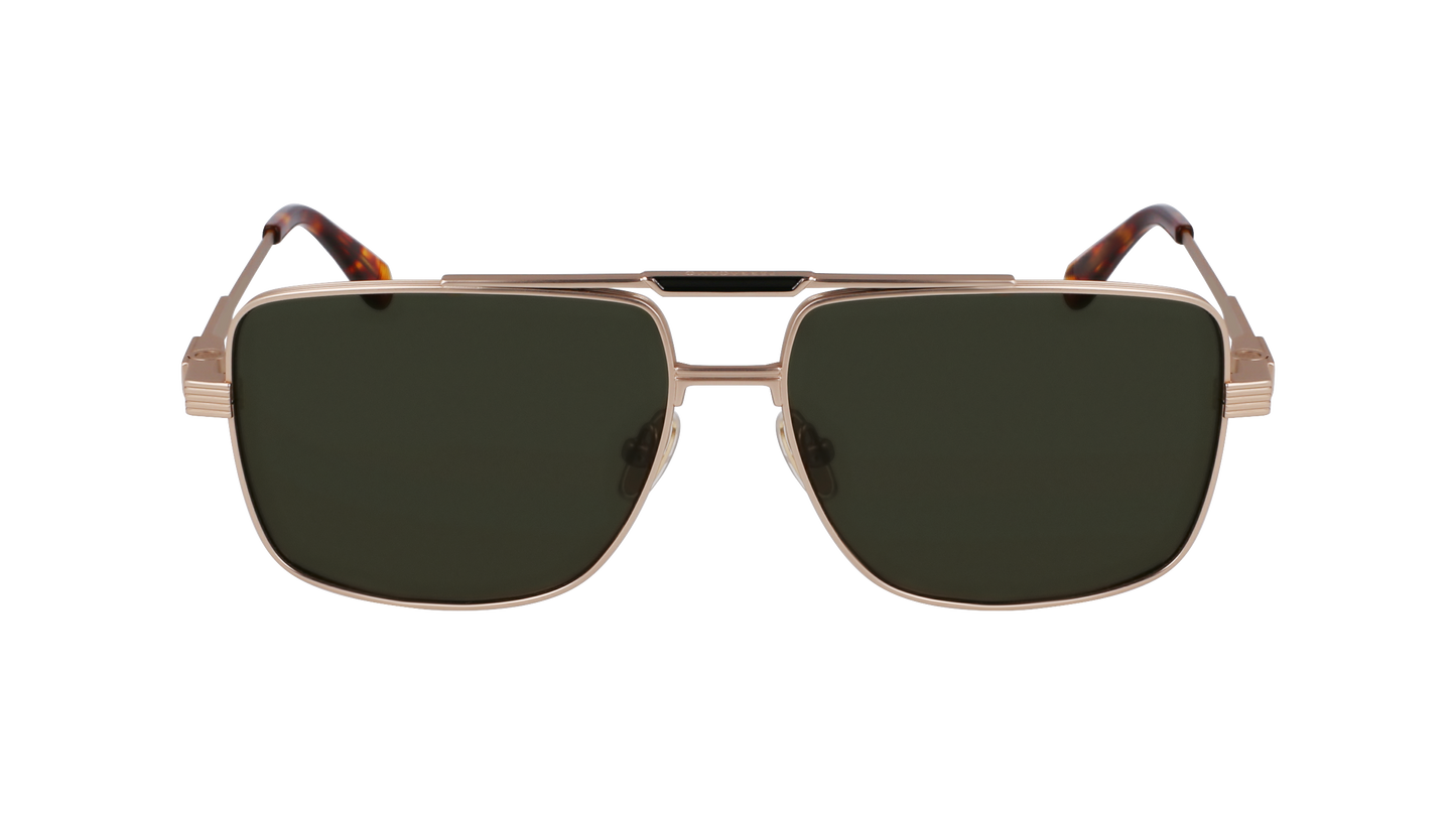 FERRAGAMO Sunglasses SF318S 710 60