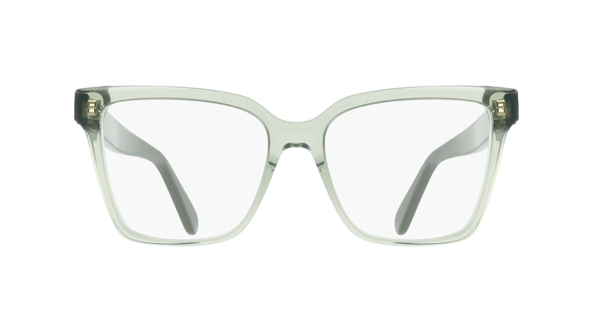 Ferragamo SF3060 313