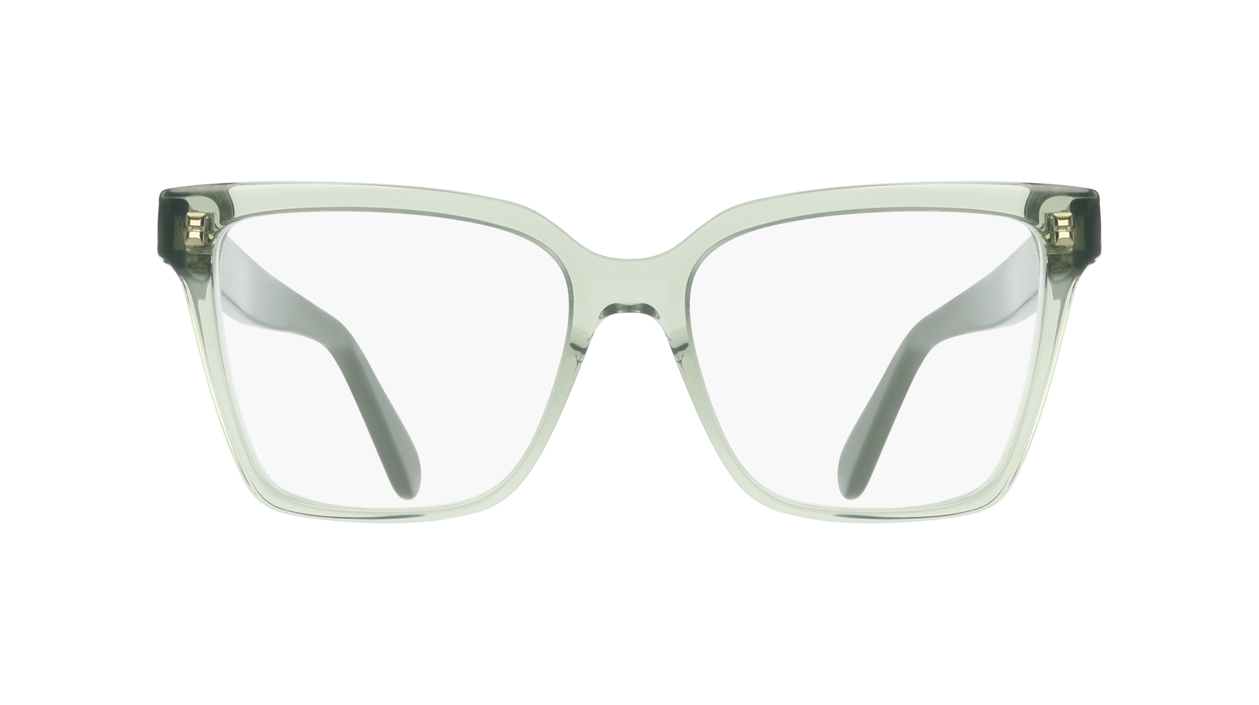 Ferragamo SF3060 313