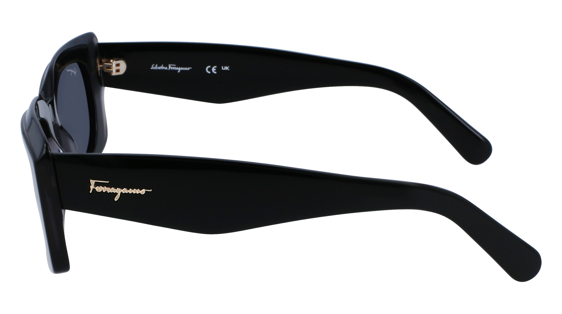 FERRAGAMO Sunglasses SF1079S 22 54