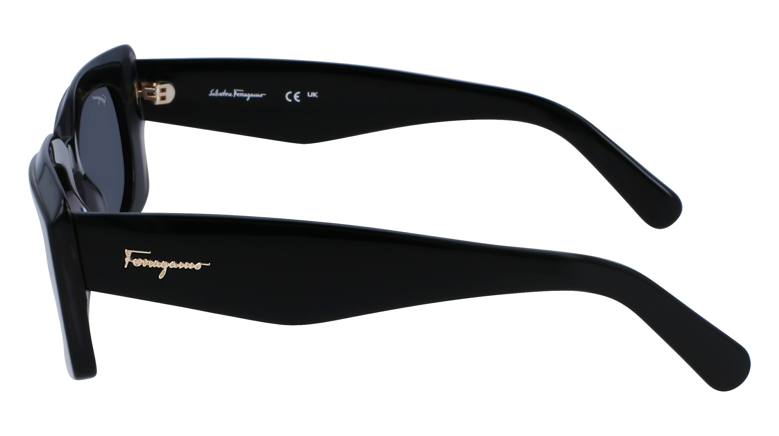 FERRAGAMO Sunglasses SF1079S 22 54