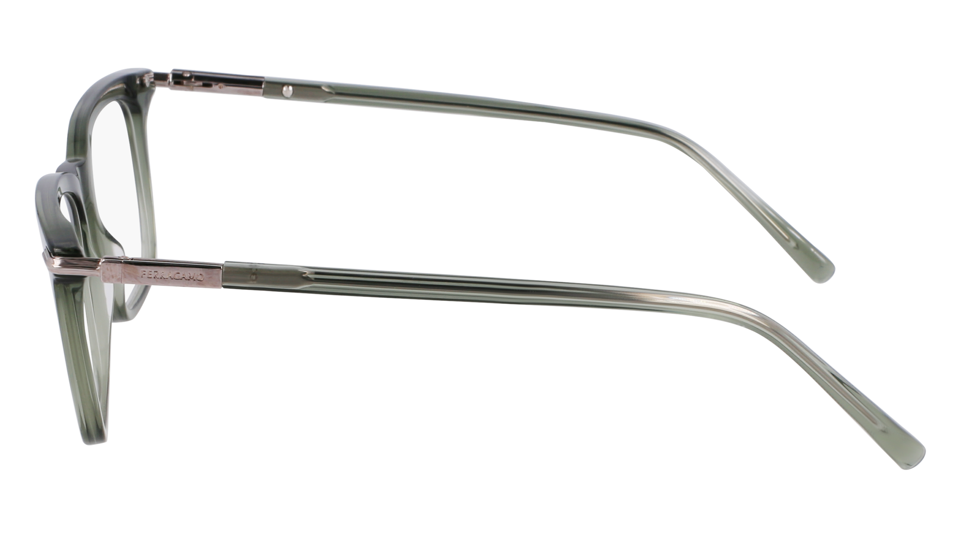 FERRAGAMO Eyeglasses SF3007 317 53