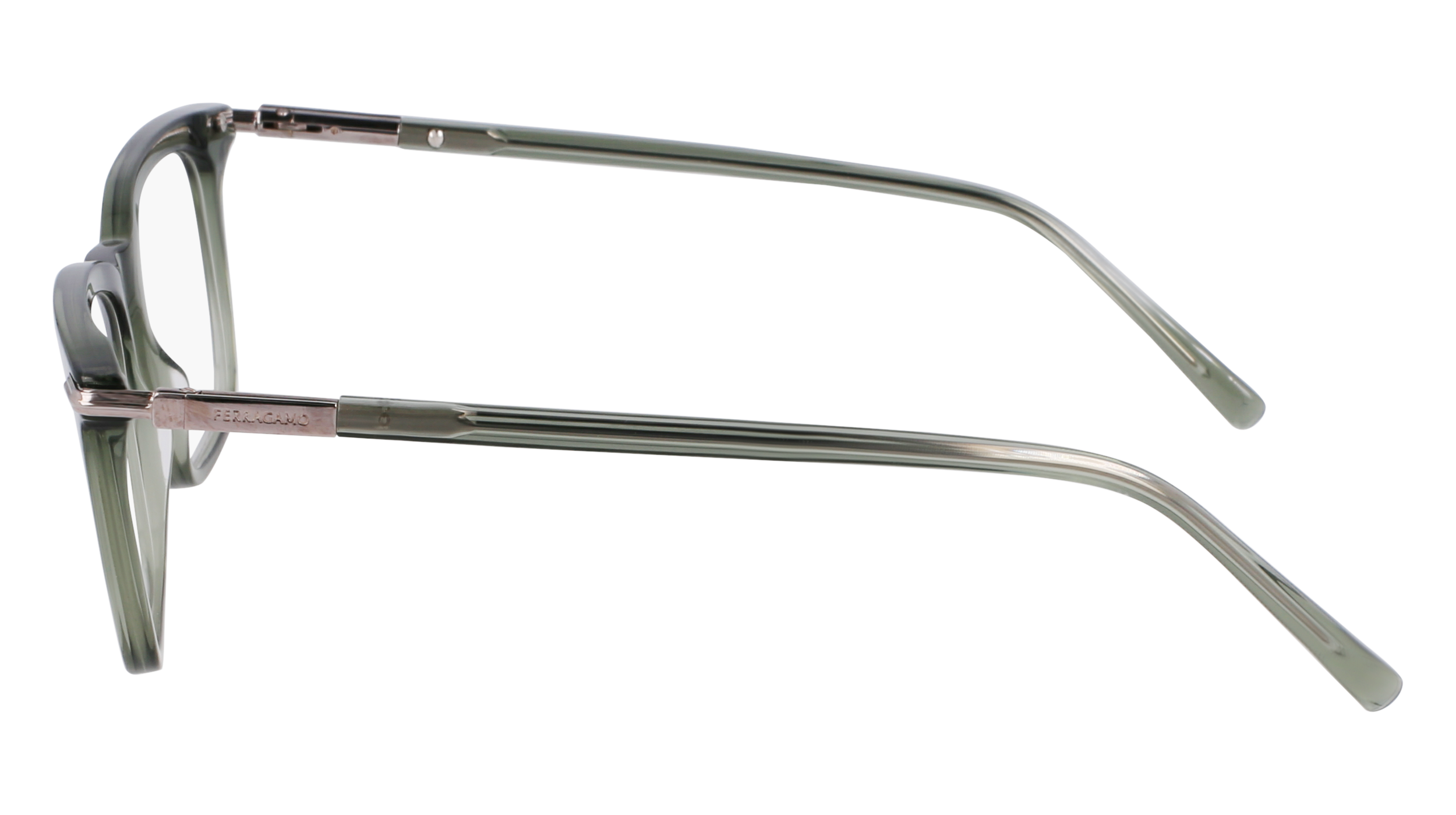 FERRAGAMO Eyeglasses SF3007 317 53