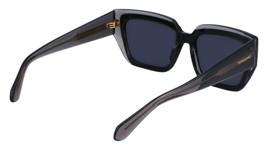 FERRAGAMO Sunglasses SF2002S 24 55